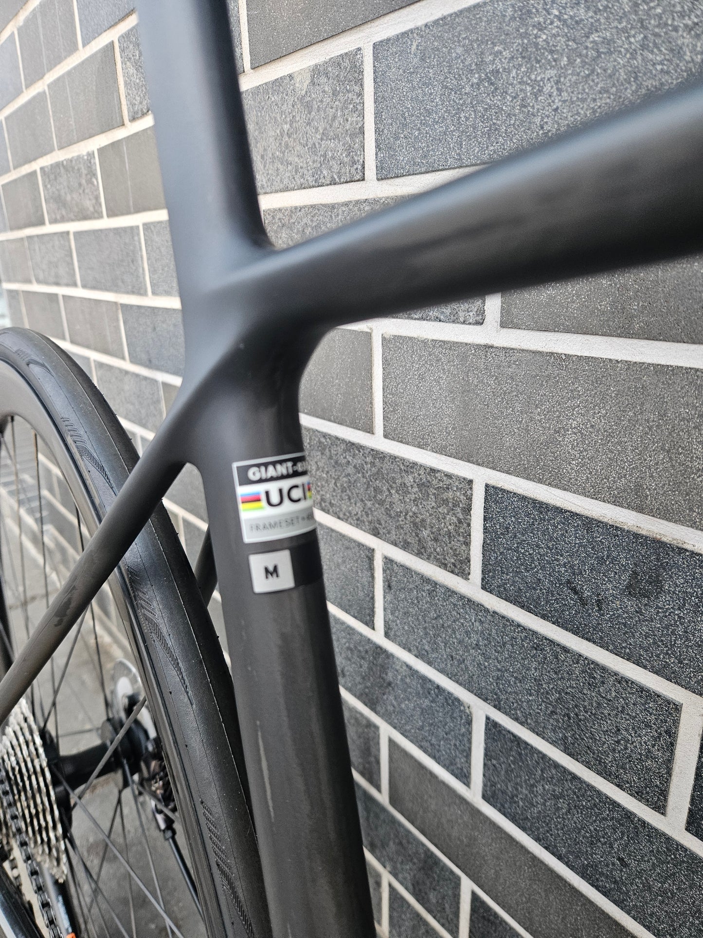 Giant - Tcr SL Raw carbon (Shop build) medium only