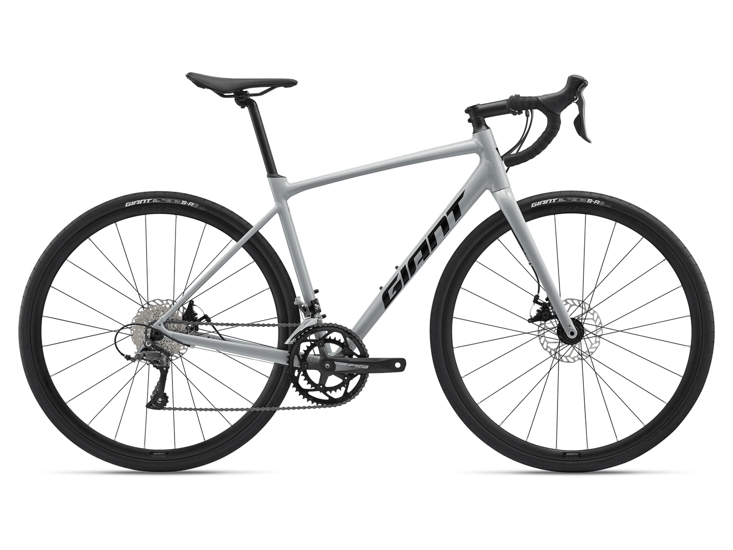 Giant - Contend AR 4 (2025)